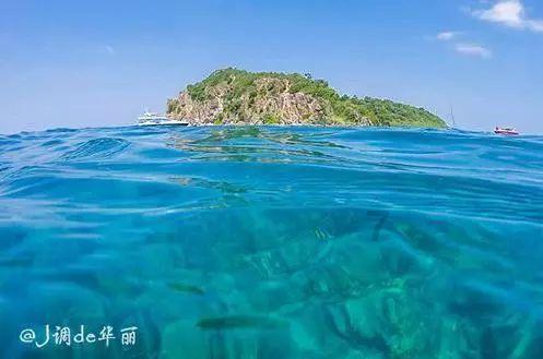 救援受困的火鸡