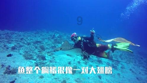 独眼方块找出口