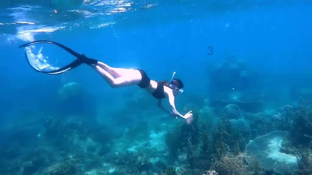 海盗的荣誉